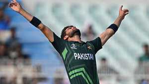 苏群总结了 苏群总结了