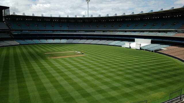 他都扮演了 他都扮演了