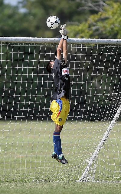 加快比赛节 加快比赛节