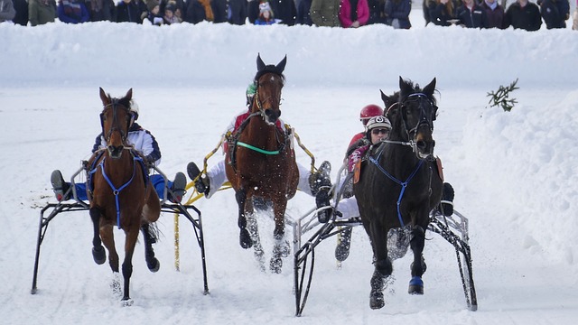 会成为比赛 会成为比赛